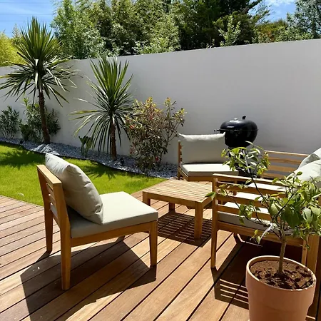 Palmeraie - Piscine